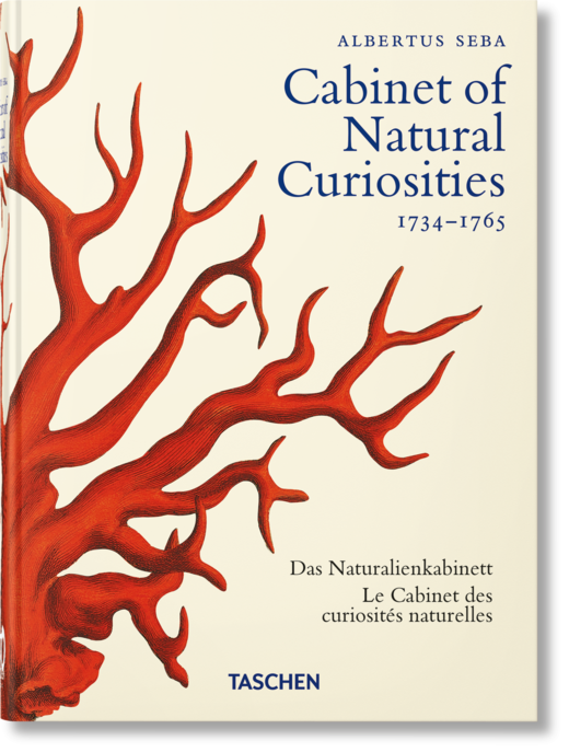 okładka Cabinet of Natural Curiosities wer. angielska książka | Jes Rust, Müsch Irmgard, Rainer Willmann