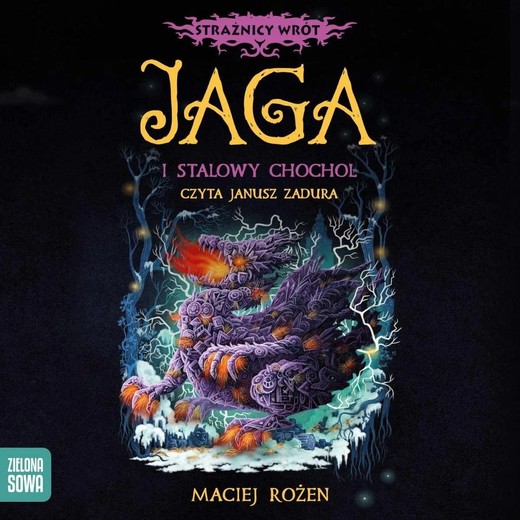 okładka Strażnicy Wrót. Jaga i stalowy chochoł audiobook | MP3 | Maciej Rożen