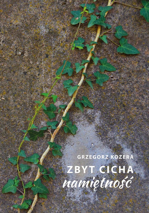 okładka Zbyt cicha namiętność ebook | epub, mobi, pdf | Grzegorz Kozera