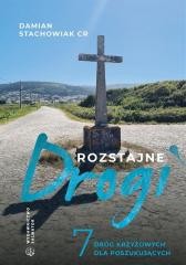 okładka Rozstajne drogi. 7 dróg krzyżowych dla... książka | Damian StachowiakCR