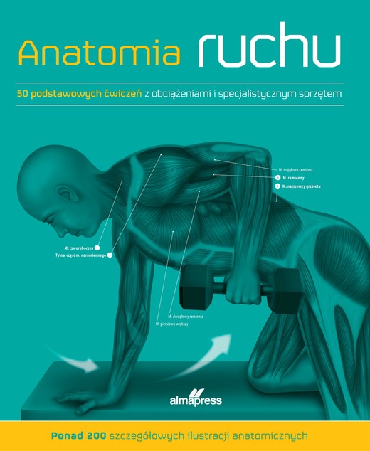 okładka Anatomia ruchu. Podręcznik ćwiczeń książka | Ashwell Ken