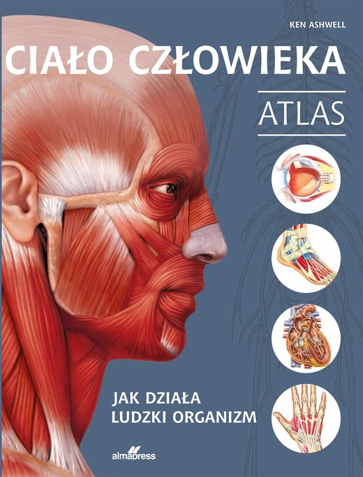 okładka Ciało człowieka. Atlas. Jak działa ludzki organizm książka | Ashwell Ken
