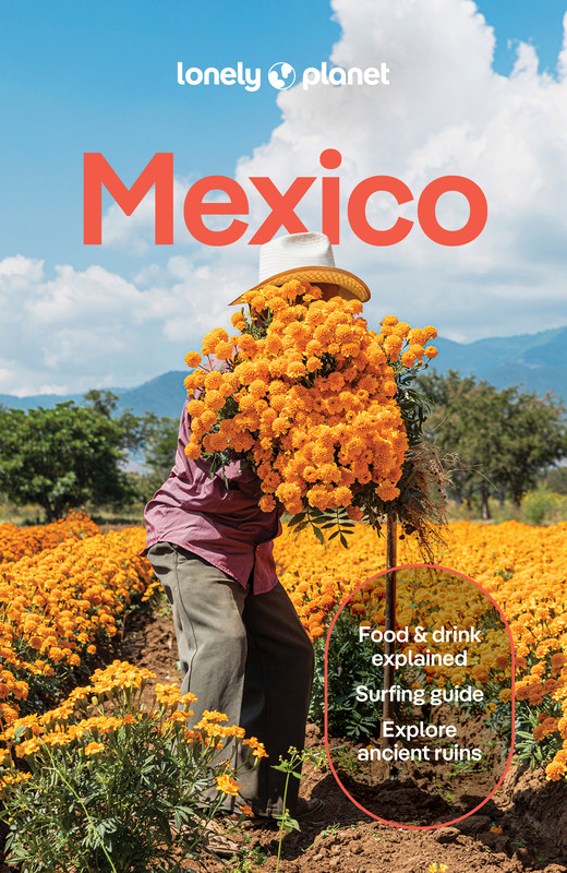 okładka Mexico. Lonely planet książka | Balsam Joel, Jennifer FernándezSolano, Lonely Planet