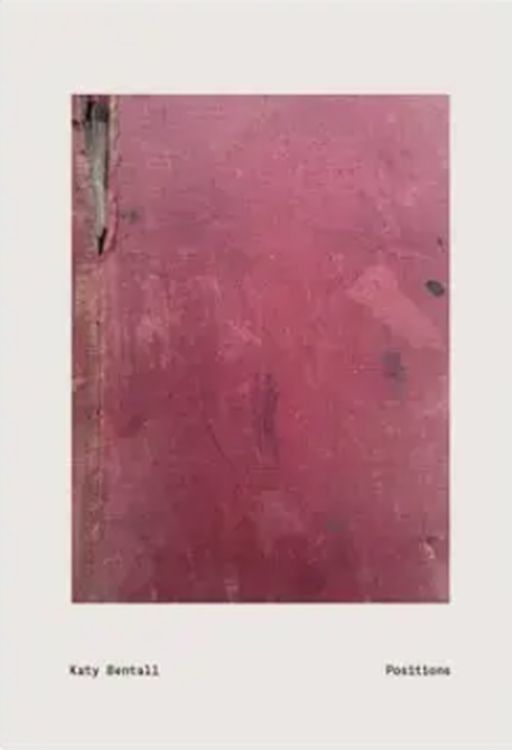 okładka Positions książka | Katy Bentall