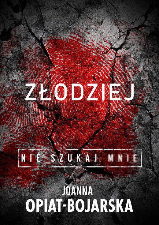 okładka Złodziej. Nie szukaj mnie. Tom 1 ebook | epub, mobi | Joanna Opiat - Bojarska