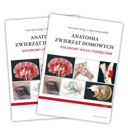 okładka Anatomia zwierząt domowych. Kolorowy atlas... w.4 książka | König HorstErich, Liebich Hans-Georg