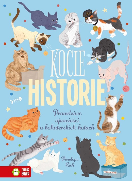 okładka Kocie historie książka | Rich Penelope