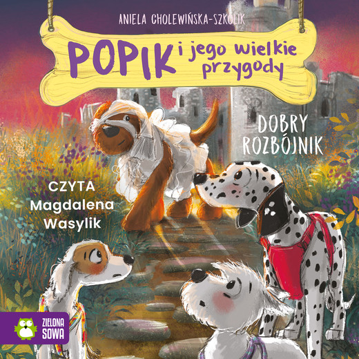 okładka Popik i jego wielkie przygody. Dobry rozbójnik audiobook | MP3 | Aniela Cholewińska-Szkolik