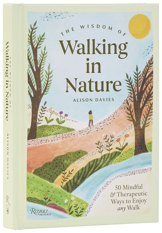 okładka The Wisdom of Walking in Nature książka | Alison Davies
