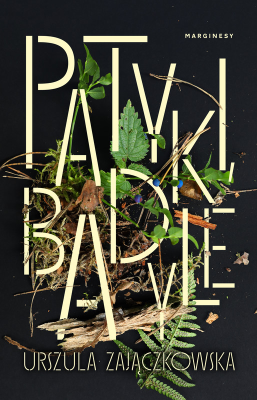 okładka Patyki, badyle ebook | epub, mobi | Urszula Zajączkowska