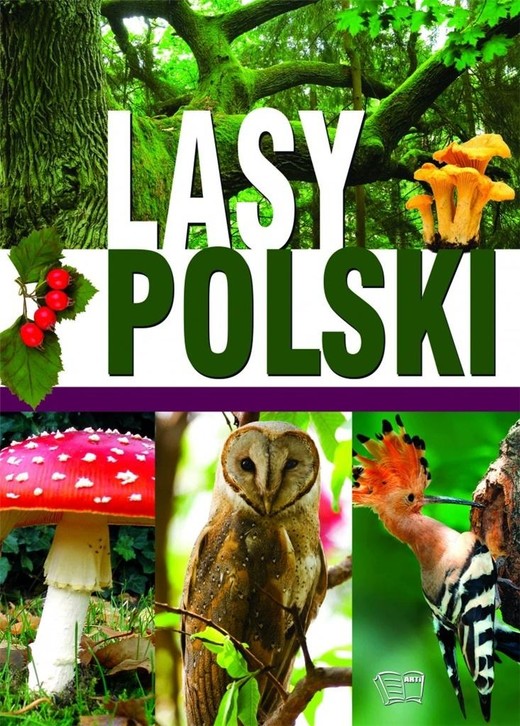 okładka Lasy Polski książka