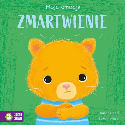 okładka Zmartwienie. Moje emocje książka | Honor Head