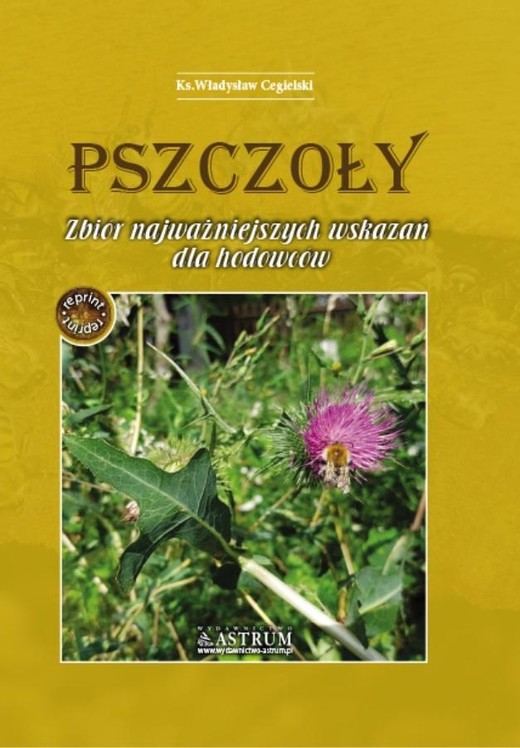 okładka Pszczoły. Zbiór najważniejszych wskazań dla... A4 książka | Cegielski Władysław