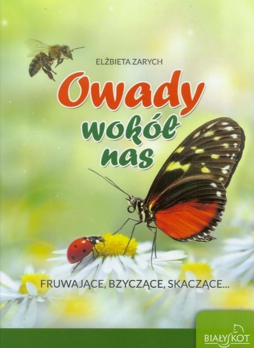 okładka Owady wokół nas książka | Elżbieta Zarych