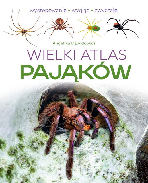okładka Wielki atlas pająków książka | Angelika Dawidowicz