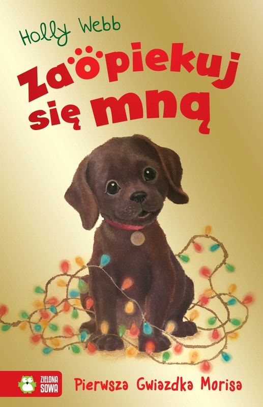 okładka Pierwsza Gwiazdka Morisa. Zaopiekuj się mną książka | Holly Webb