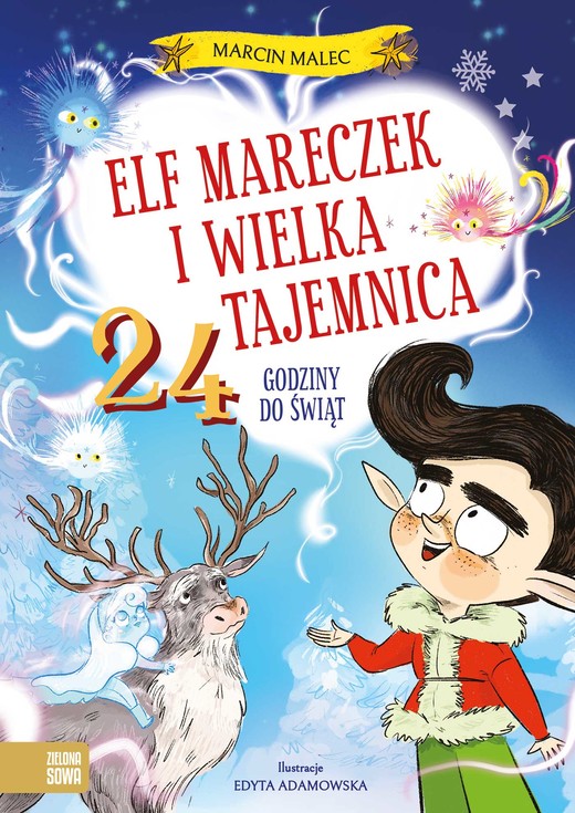 okładka Elf Mareczek i wielka tajemnica. 24 godziny do Świąt. Elf Mareczek książka | Marcin Malec