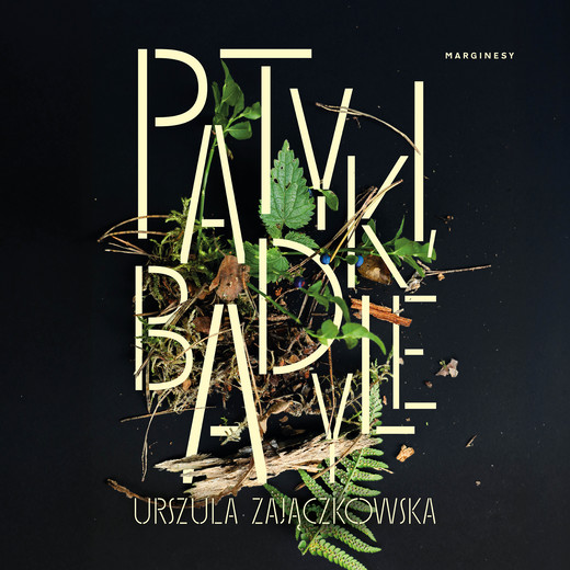 okładka Patyki, badyle audiobook | MP3 | Urszula Zajączkowska