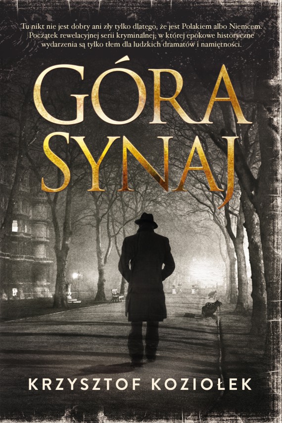 okładka Góra Synajebook | EPUB, MOBI | Krzysztof Koziołek