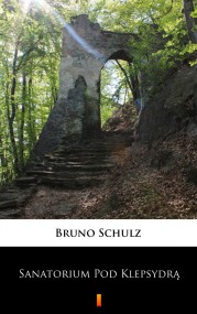 okładka Sanatorium Pod Klepsydrą. Ebook | papier | Bruno Schulz