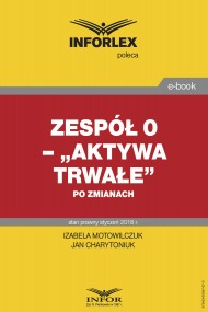 okładka Zespół 0 – „Aktywa trwałe” po zmianach. Ebook | papier | Jan Wróbel, Izabela Motowilczuk