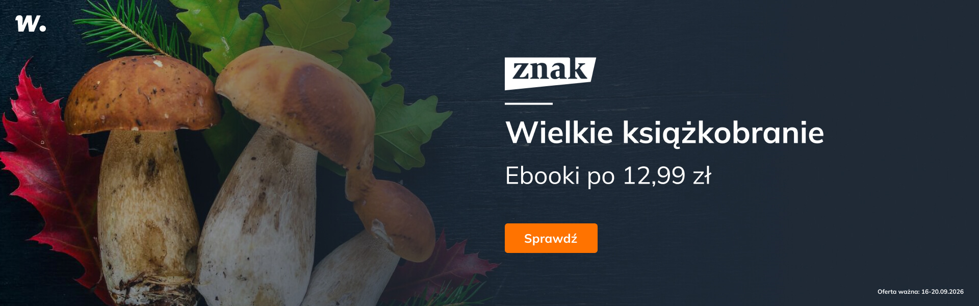 Grafika prowadzi do promocji: Książkobranie ze Znakiem: ebooki po 12,99 zł
